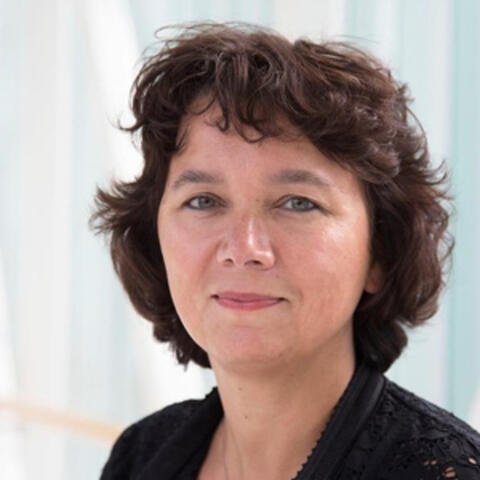 Prof. Dr. Marianne C. Verhaar